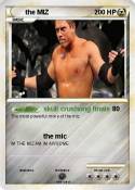 the MIZ