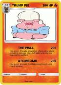 TRUMP PIG