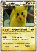 chat pika