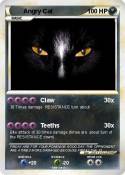 Angry Cat