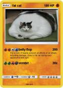 fat cat