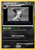 commitment cat