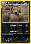 chien de la