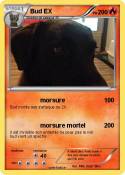 Bud EX