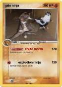 gato ninja