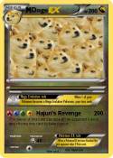 Doge