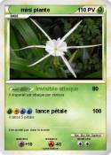 mini plante
