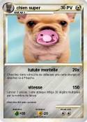 chien super