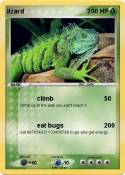 lizard