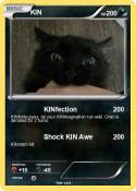 KIN