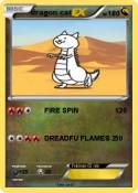 dragon cat