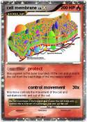 cell membrane