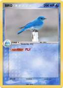 BIRD