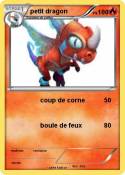 petit dragon