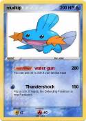 mudkip