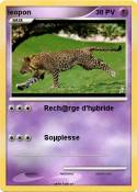leopon