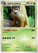 squrril monkey