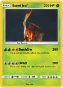 Burnt leaf