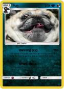 Pug