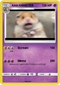 AAA HAMSTER