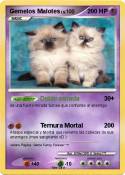 Gemelos Malotes
