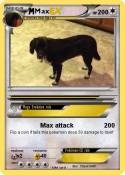 Max