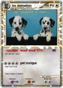 les dalmatien