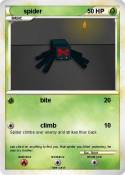 spider