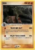 DOG