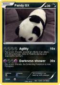 Pandy GX