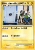 briard c0incéd@