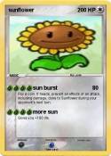 sunflower