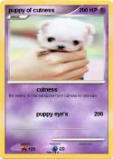 puppy of cutnes