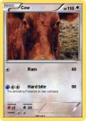 Cow
