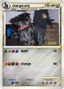 chargecurly
