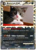 Bruce Lee (Cat)