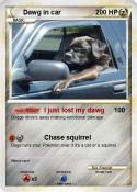 Dawg in car