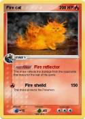 Fire cat