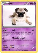 pug