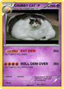 CHUBBY CAT :P