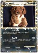 ROOKIE