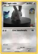 Petit lapin