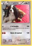 Ilow et guizmo