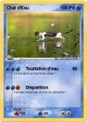 Chat d'Eau