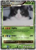 LEO3000