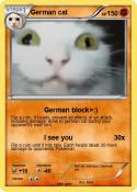 German cat