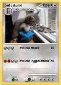 bad cat
