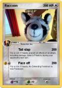 Raccoon