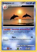 Dolphins