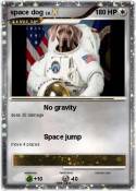 space dog